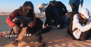 小姐姐变钢铁战狼?史上最硬核团建你值得